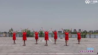 歌中雅歌广场舞视频