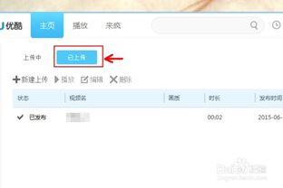 优酷上传的视频怎么删除,如何根据优酷视频上传记录清除视频内容