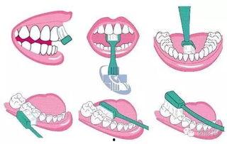 宝宝正确刷牙视频