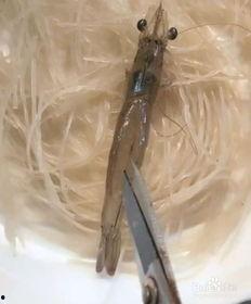 开背教程视频,轻松掌握背部护理技巧