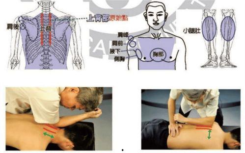 原始点疗法视频,视频解析其核心原理与实际应用